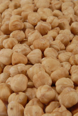 fındık