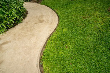 Fototapeta premium walkway in green grass background