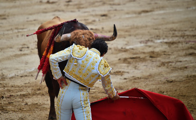 Obraz premium toreo en españa