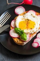 Healthy organic sandwich with fried eggs, radish and basil and spices on a black background