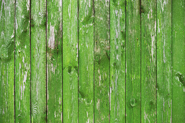 Wooden textured background of bright green boards