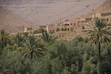 Fototapeta na wymiar Oasis in Morocco