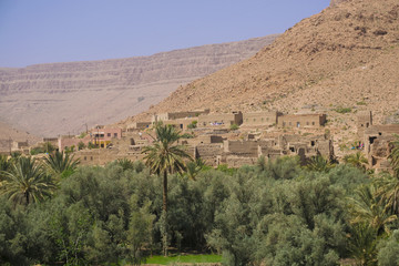 Fototapeta na wymiar Oasis in Morocco
