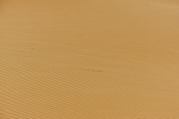 Merzouga desert