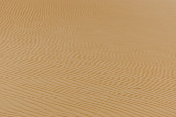 Merzouga desert