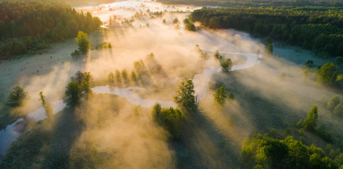 Foggy summer morning. Misty aerial landscape. White fog over green meadow near river in morning sunlight from above.