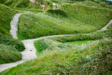 Wiese in Ètretat, Frankreich