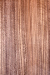 texture of veneer walnut