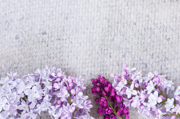 Textured gray background with branches of lilac