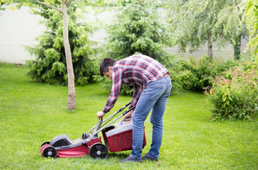 Gardener mowing lawn in backyard