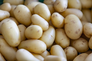 Fresh organic potato