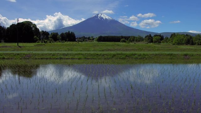 Mt. Fuji and rice terrace at Gotemba city Japan