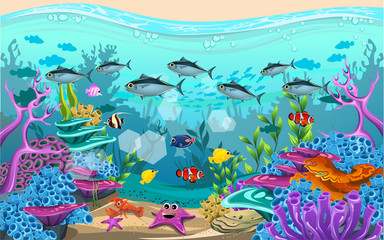 Fototapeta na wymiar the beauty of the sea. there are fish and corals.