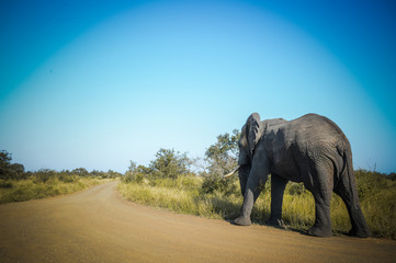 Afrique du Sud