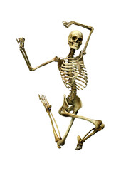 3D Rendering Human Skeleton on White