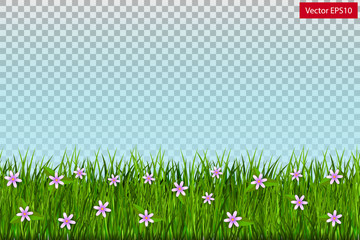 green grass with flowers on a transparent background.  Vector
