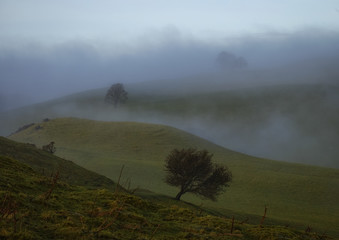 Misty landscapes
