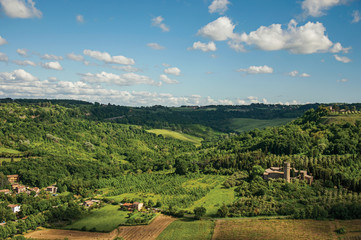 Overview of green hills, vineyards, forests and towered stronghold in a sunny day. In front of the...