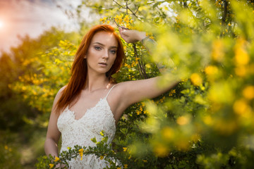 Young beautiful redhead girl in a white dress on a nature among  blooming acacia trees