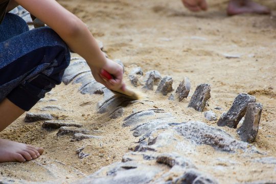 Children are learning dinosaur remains, Excavating dinosaur fossils simulation in the park.