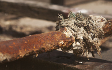 Fototapeta premium Rusty