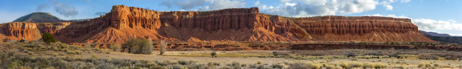 Photo sur Aluminium Parc naturel Formations de grès de Red Rock à Torrey, Utah. Le parc national de Capitol Reef est principalement composé de formations de grès dans le Waterpocket Fold, un monoclinal qui s& 39 étend sur près de 160 km.