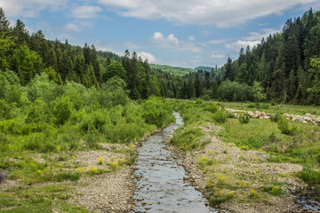 small stream between mountain