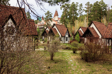 Fototapeta premium European village in a pine forest