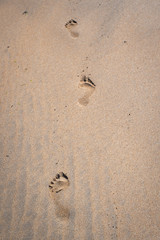 Fototapeta na wymiar Walking barefoot on the sand