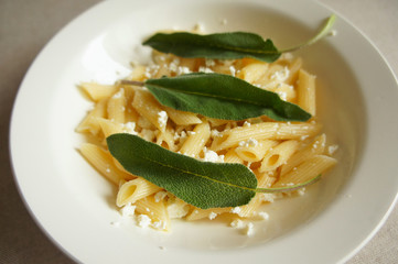 Pasta penne with white cottage cheese and green sage herb leaves