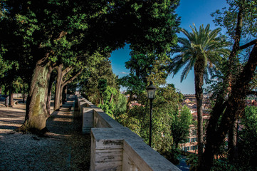 Overview of trees, cathedrals domes and roofs of buildings in the sunset of Rome, the incredible city of the Ancient Era, known as 