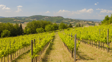 Fototapeta na wymiar Tuscany landscape, Italy