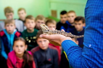 Ukraine. Khmelnytsky region. May 2018. Man holds a gray lizard on his hand and shows it to children_
