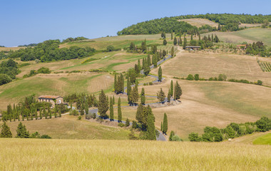 Fototapeta premium Krajobraz Toskanii, Włochy