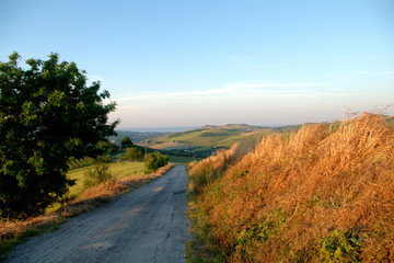 regione Marche,Italia,strada,colline,paesaggio,natura,estate,rurale