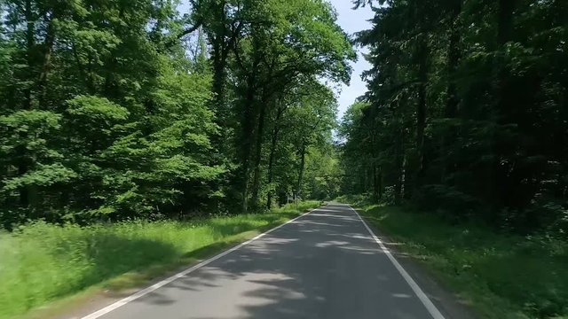 Landstraße durch den Pfälzer Wald