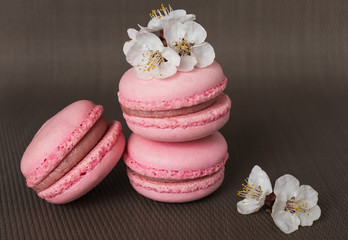 Obraz na płótnie Canvas Pink macaroons with a branch of white flowers. French dessert and flowers blooming cherry. Sakura flowers with pink macaroon
