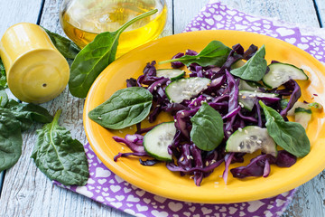 Fresh vitamin salad from red cabbage with cucumber and spinach