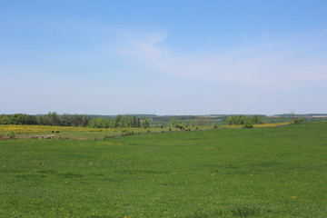 Country Side