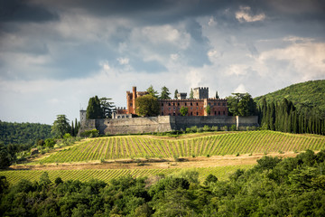 Fototapeta na wymiar Castles and vineyards of Tuscany, Chianti wine region of Italy