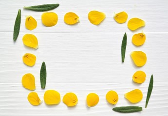 white wooden background with frame of yellow pansy petals and green rosemary leaves. natural spring or summer concept, top view and text space