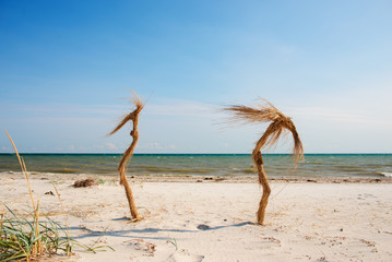 Two palm trees on the tropical beach