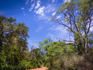 countryside rural territory red road 