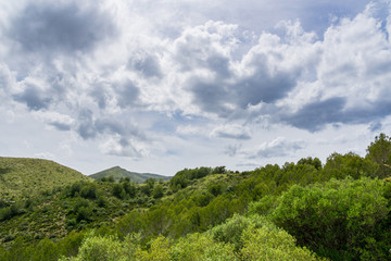 Fototapeta na wymiar Mallorca, Silence in breathtaking green nature landscape of inland mountains with dramatic sky