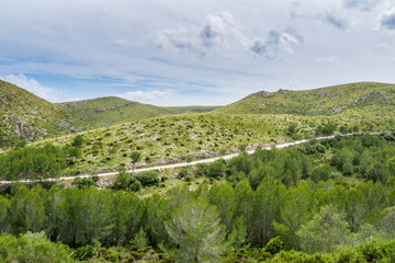 Fototapeta na wymiar Mallorca, Road through green forest down to bay Cala Torta