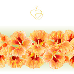 Floral border seamless background Spring flowers watercress vintage hand draw vector Illustration for use in interior design, artwork, dishes, clothing, packaging, greeting cards