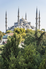 Fototapeta na wymiar Blue Mosque, Istanbul Turkey