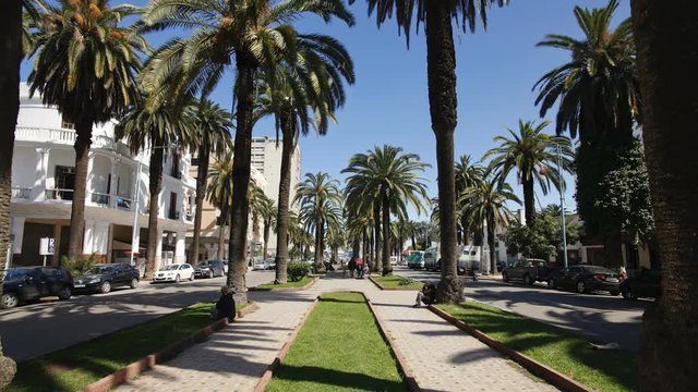 Morocco, Maghreb, Casablanca. The Boulevard de Rachidi is typical of the wide tree lined streets in the smart Lusitania district, T/Lapse