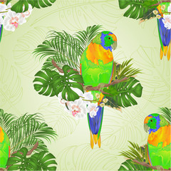 Fototapeta premium Seamless texture Sun Conure Parrot tropical bird standing on a branch white orchid Phalaenopsis on a white background vector illustration editable hand draw