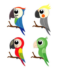 Set of different cartoon parrots. Exotic birds. Vector illusrati